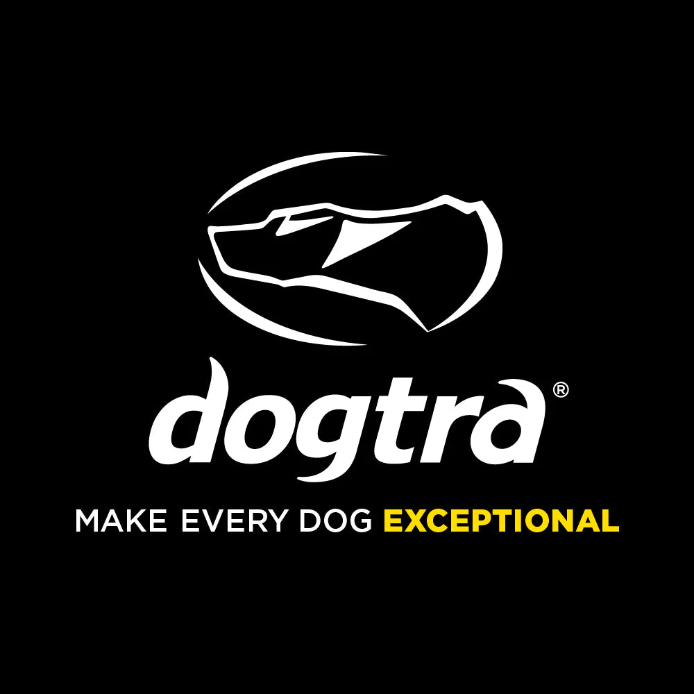 Dogtra Tracking & Training Equipment