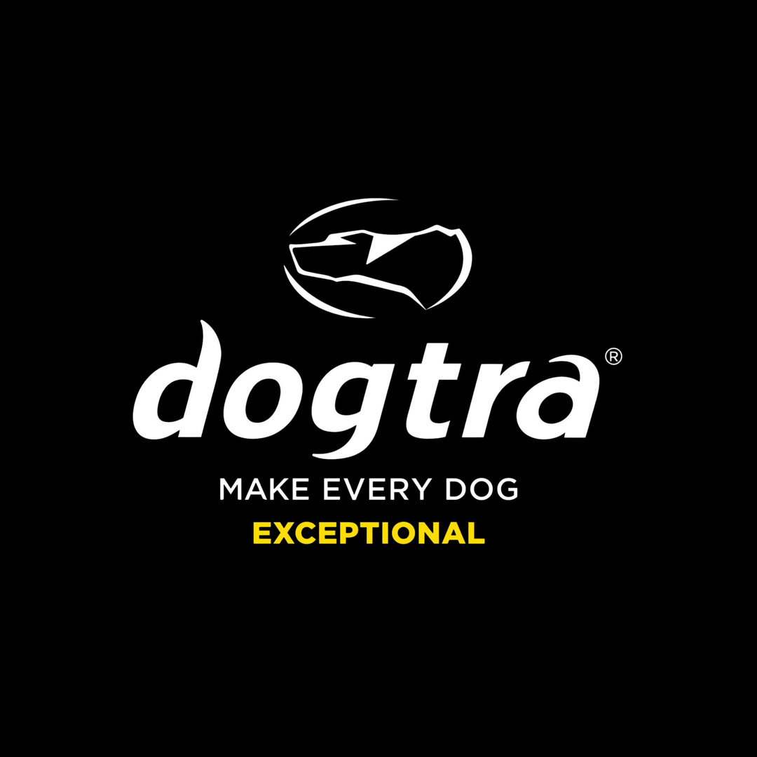 Dogtra