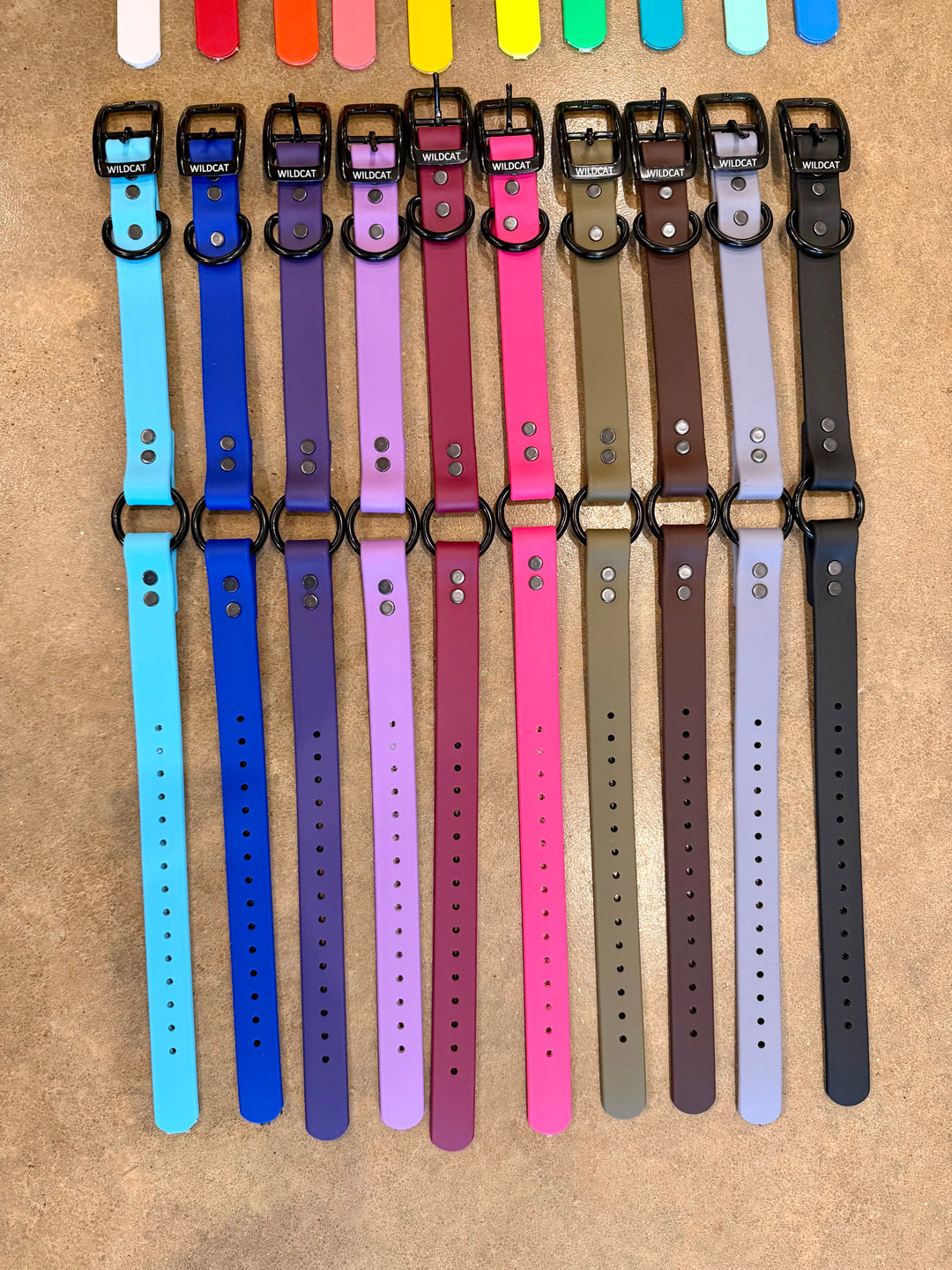 1” Beta Collar with Black Hardware(20”)