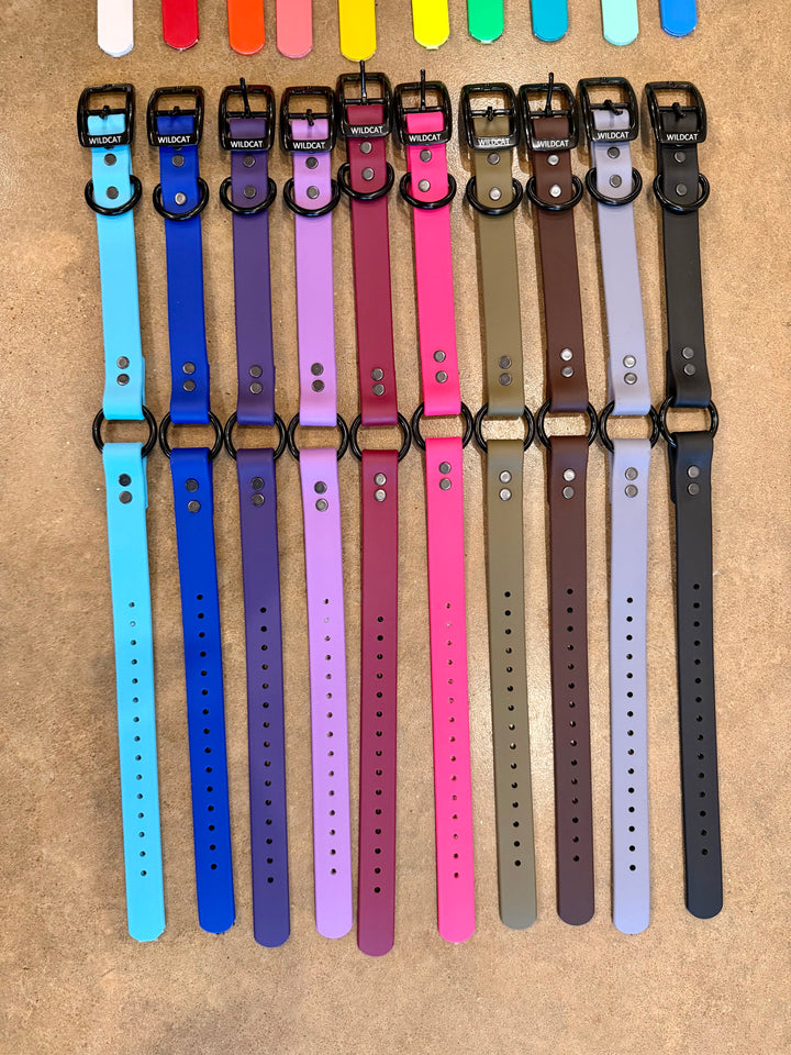 1” Beta Collar with Black Hardware(20”)