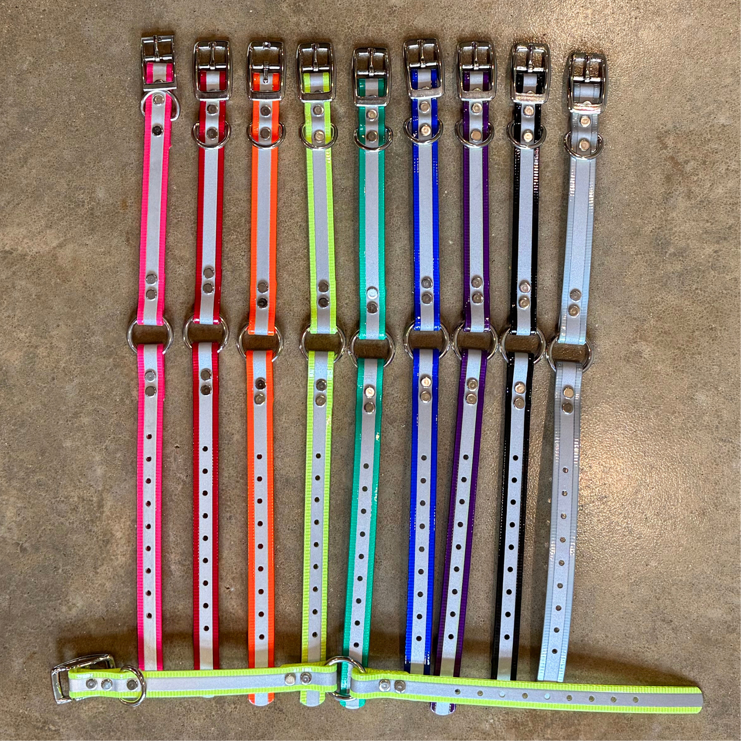 3/4” Dayglo Reflective Collar (16”) W/ Brass Name Tag