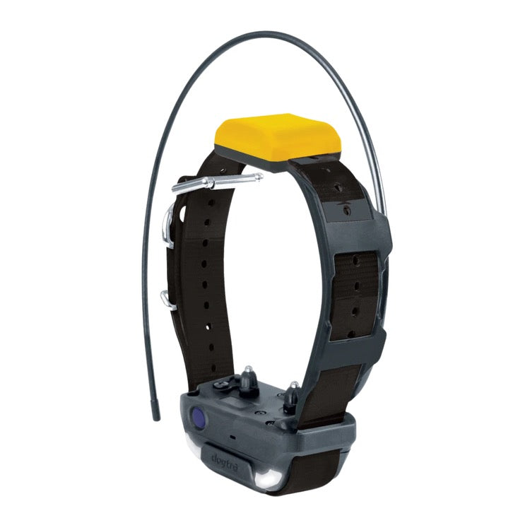 Pathfinder2 Track &amp; Train Collar