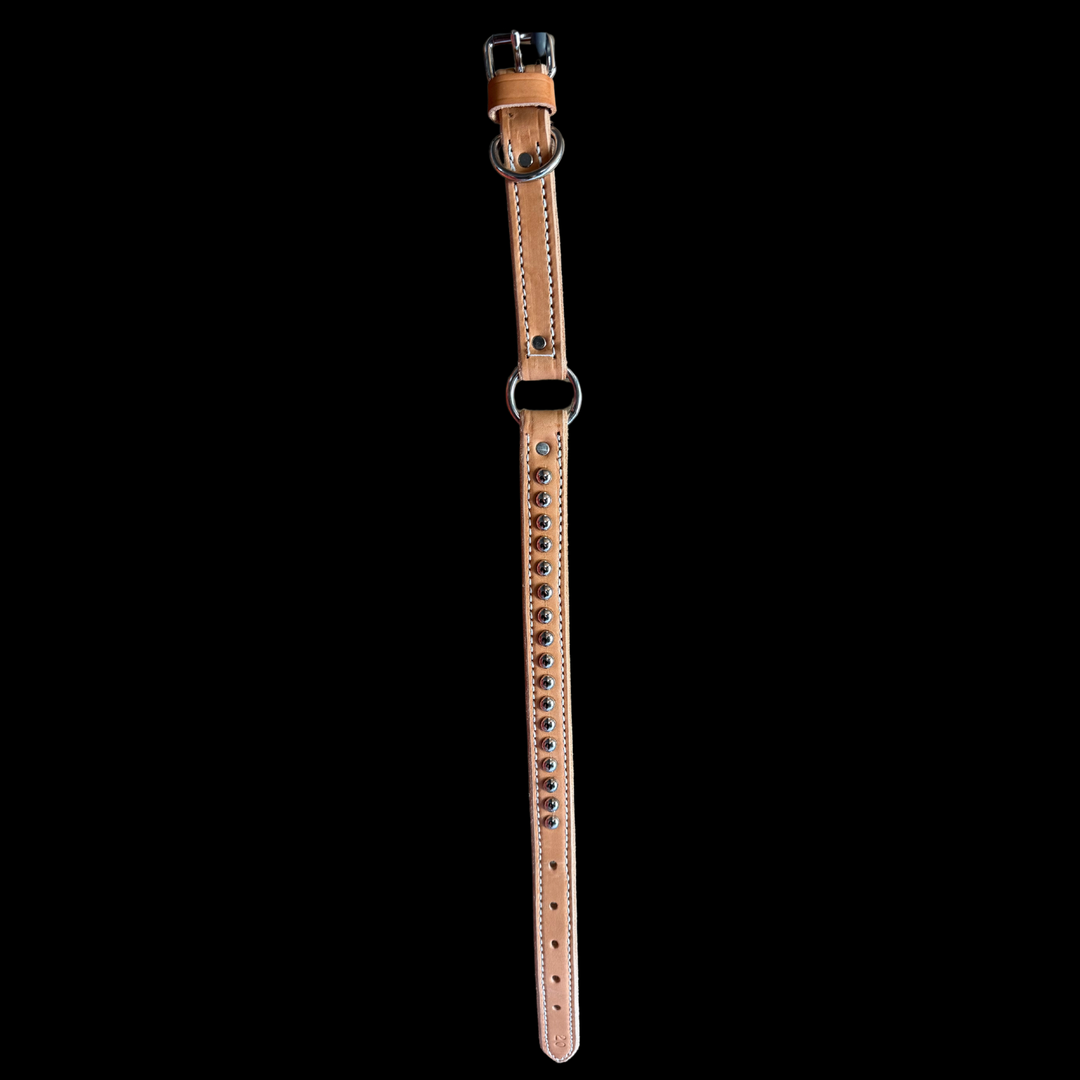Leather Collar (20”)