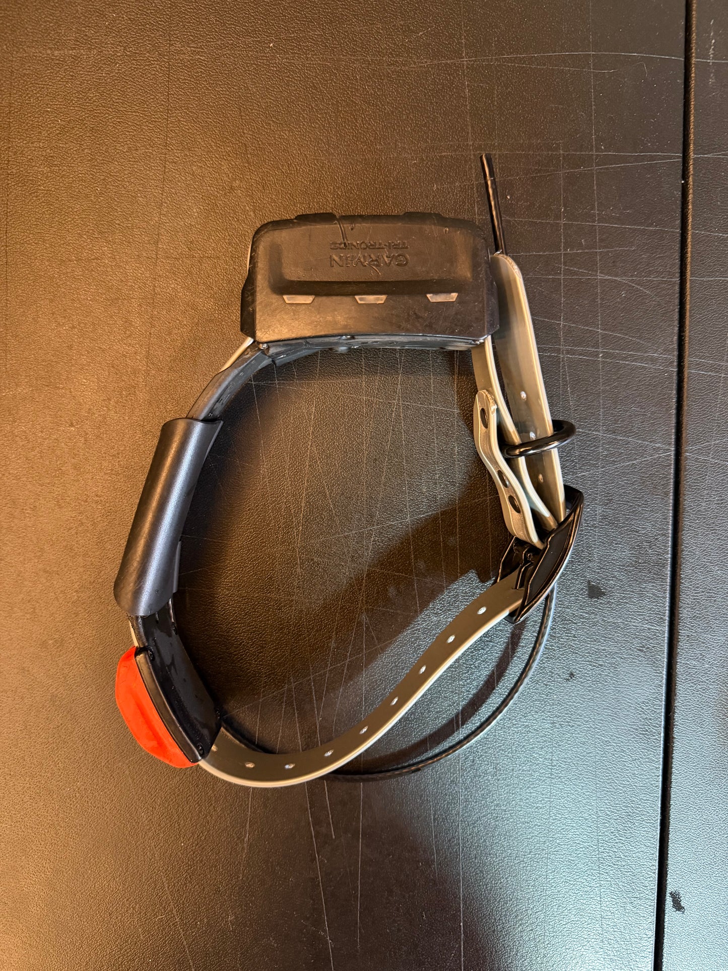 T5