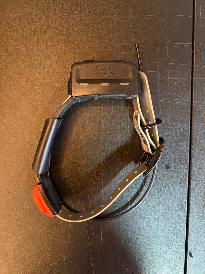 T5