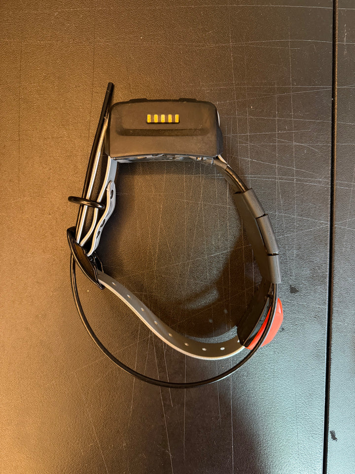 T5
