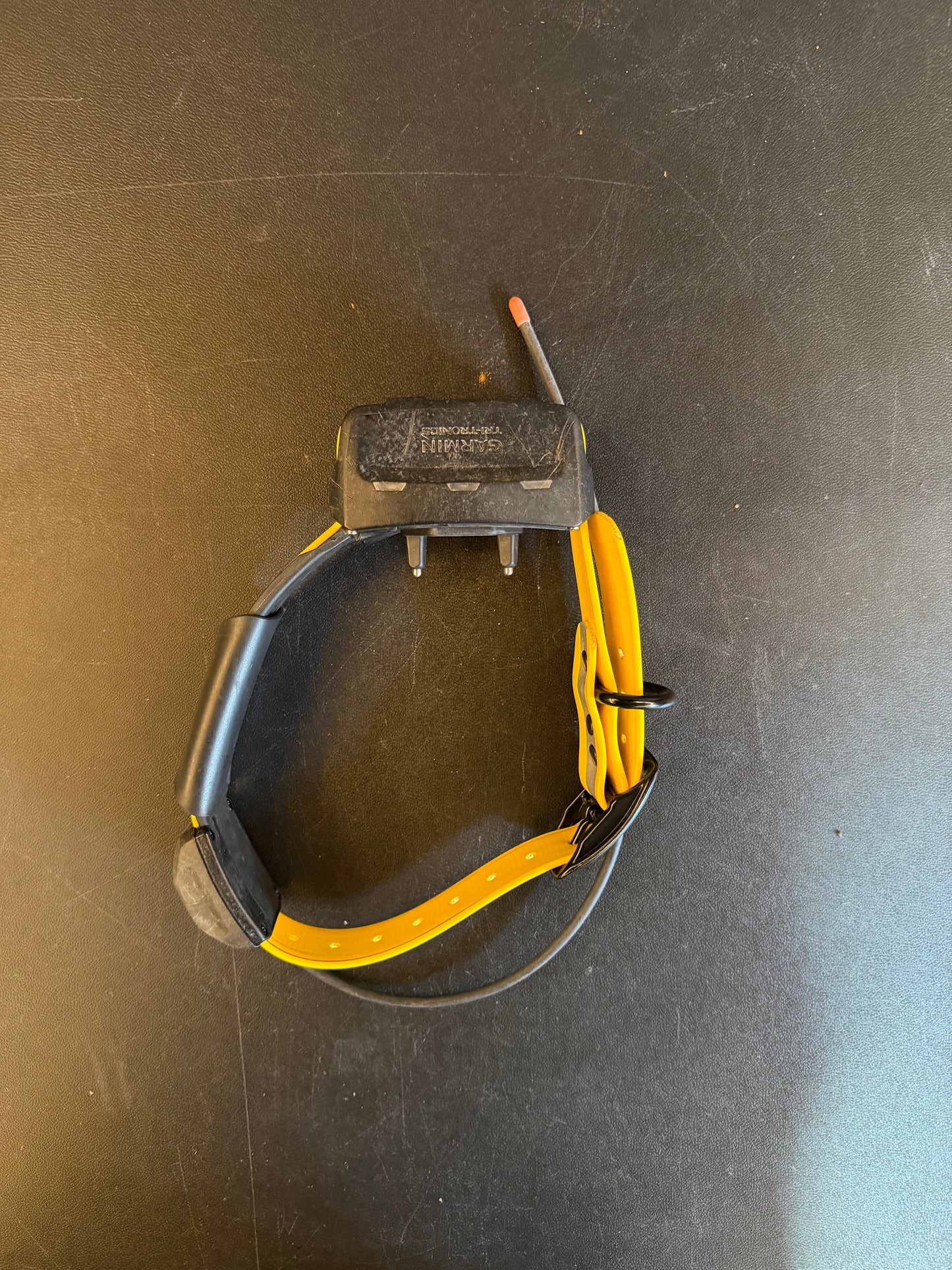 Tt15