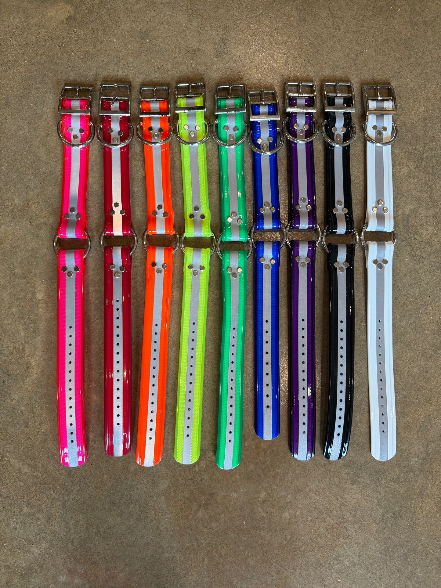1 1/2” Reflective Dayglo Collar (20”) W/ Brass Name Tag