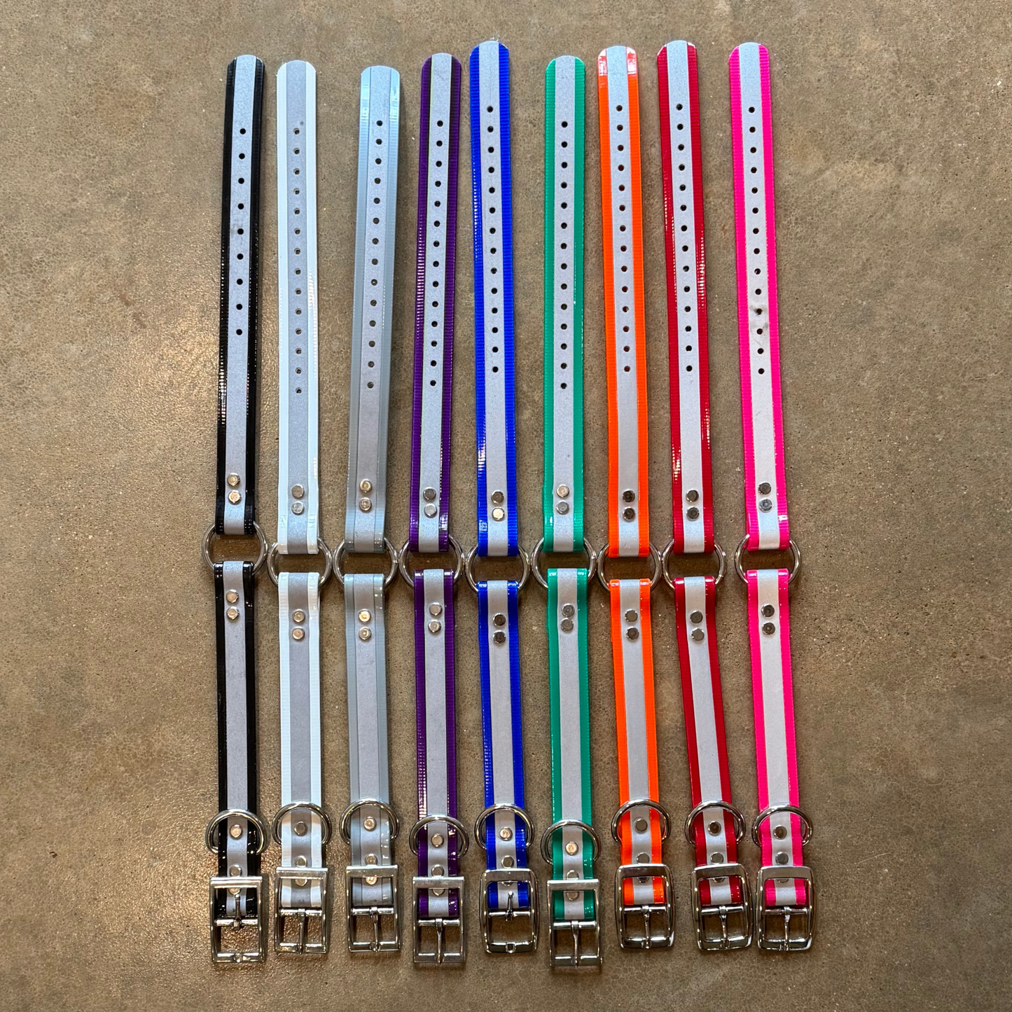 1” Dayglo Reflective Collar (20”) W/ Brass Name Tag
