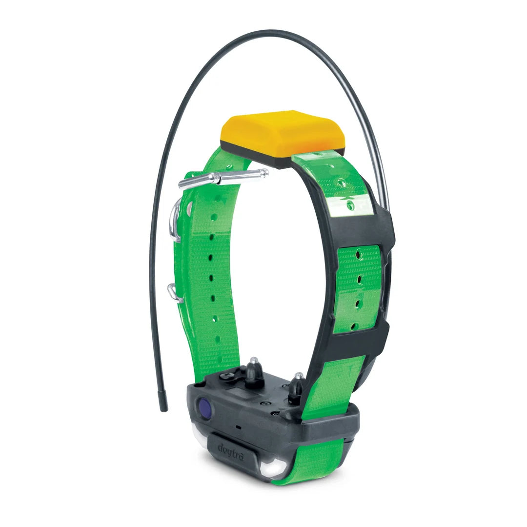 Pathfinder2 Track &amp; Train Collar