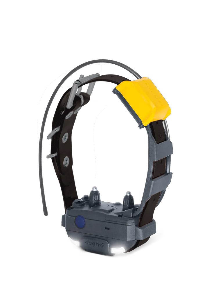 Pathfinder2 Mini Track &amp; Train Collar