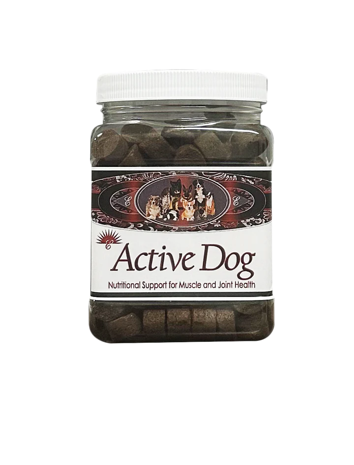 Active Dog