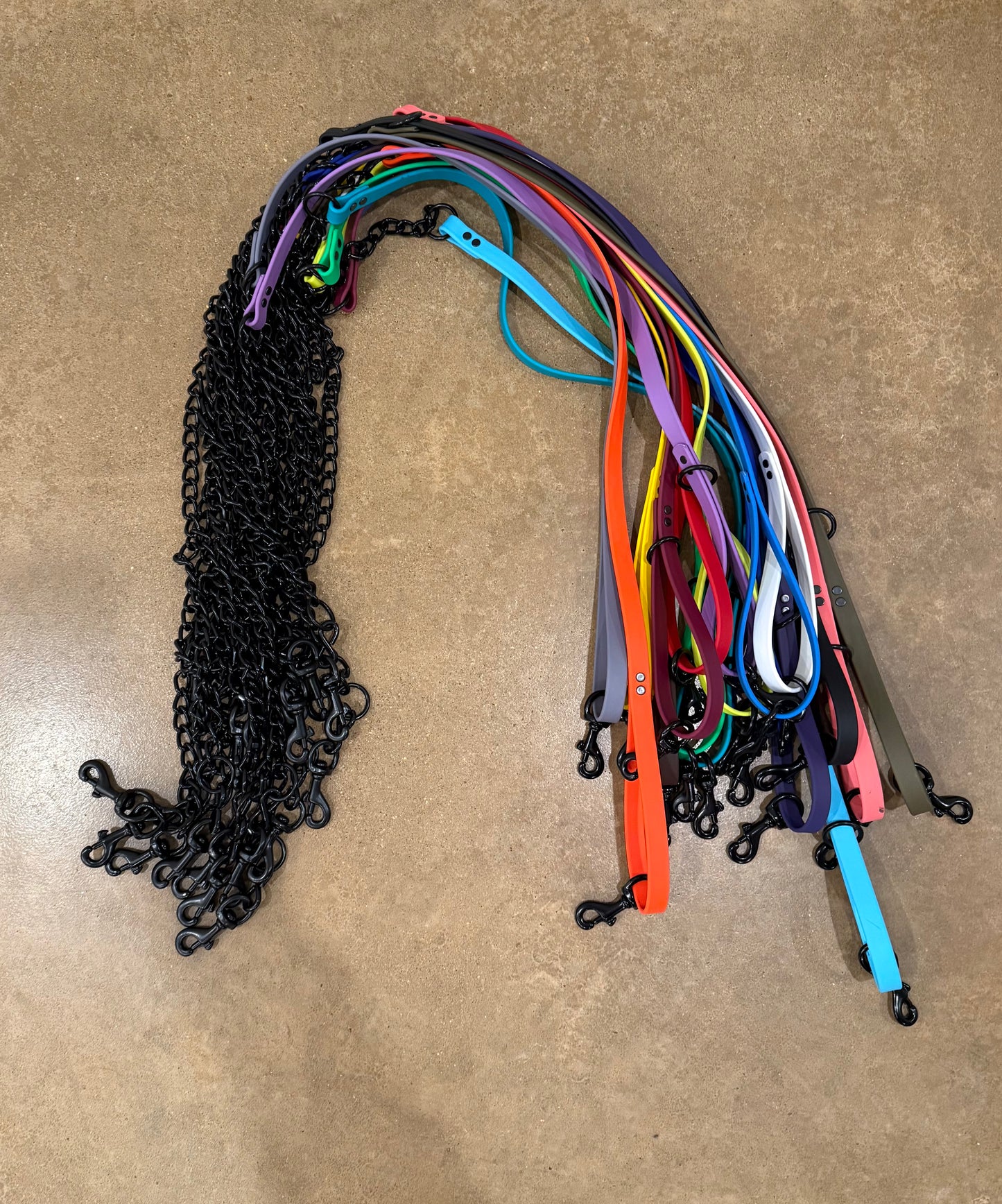 Beta with Black Chain Lead