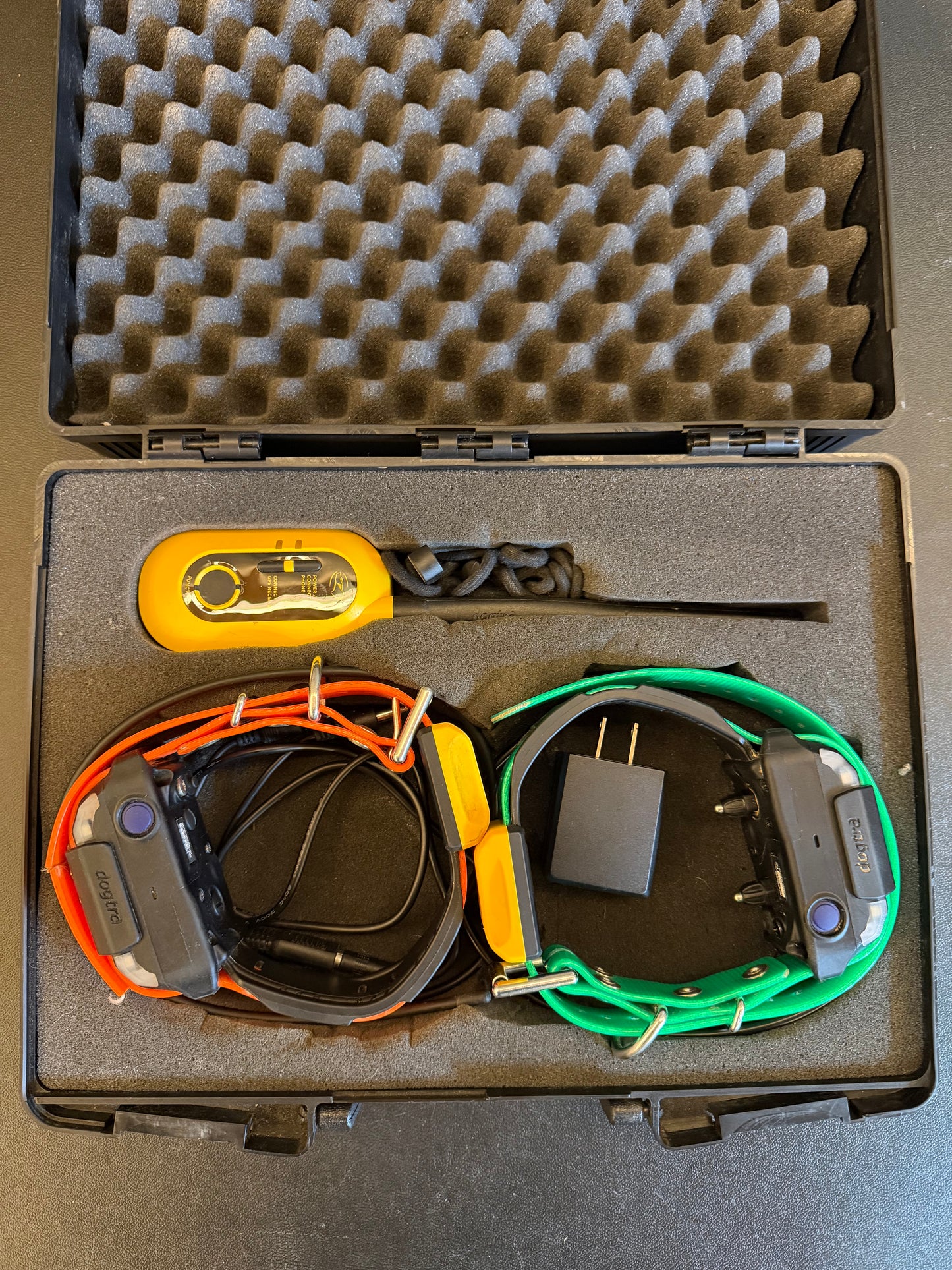 Dogtra Pathfinder2 Bundle