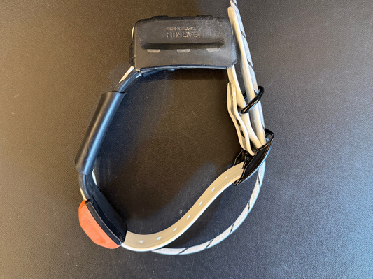 Used T5