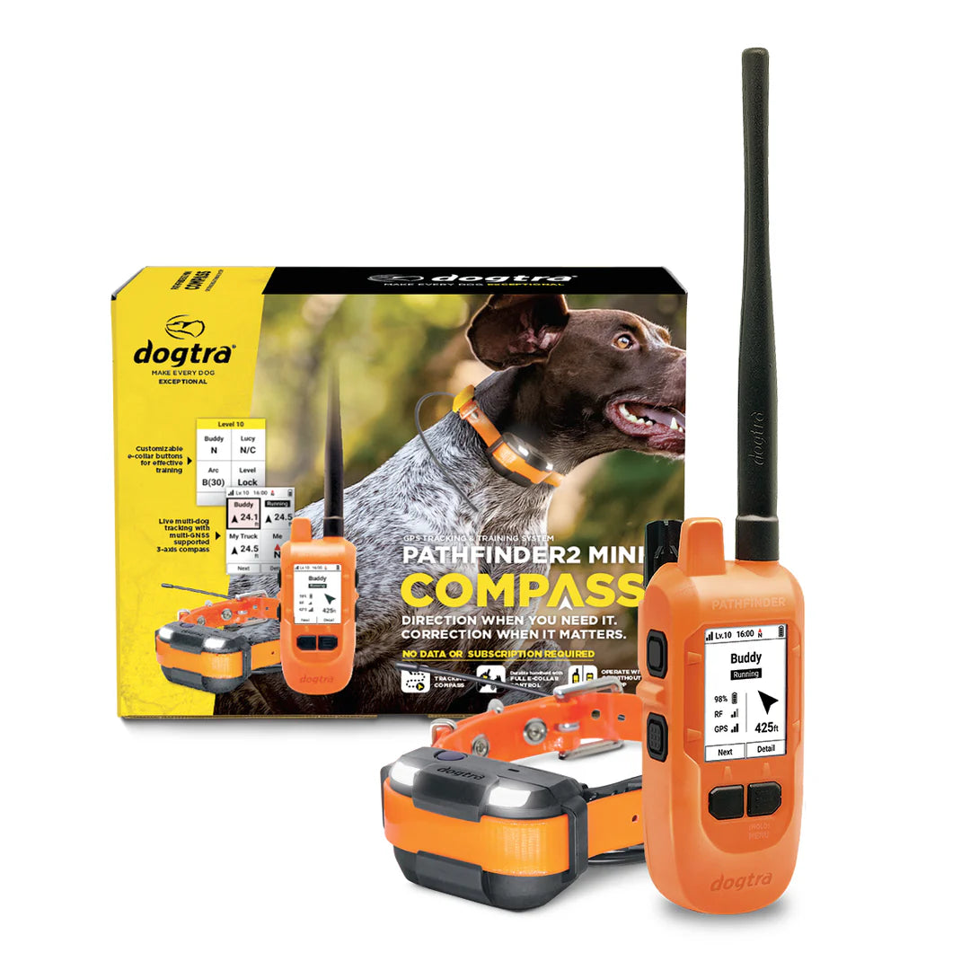 Pathfinder2 Mini Compass