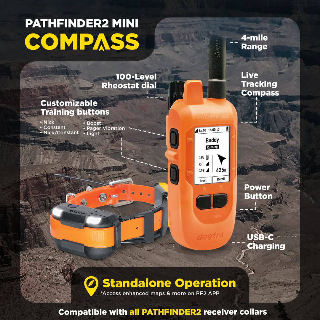 Pathfinder2 Mini Compass