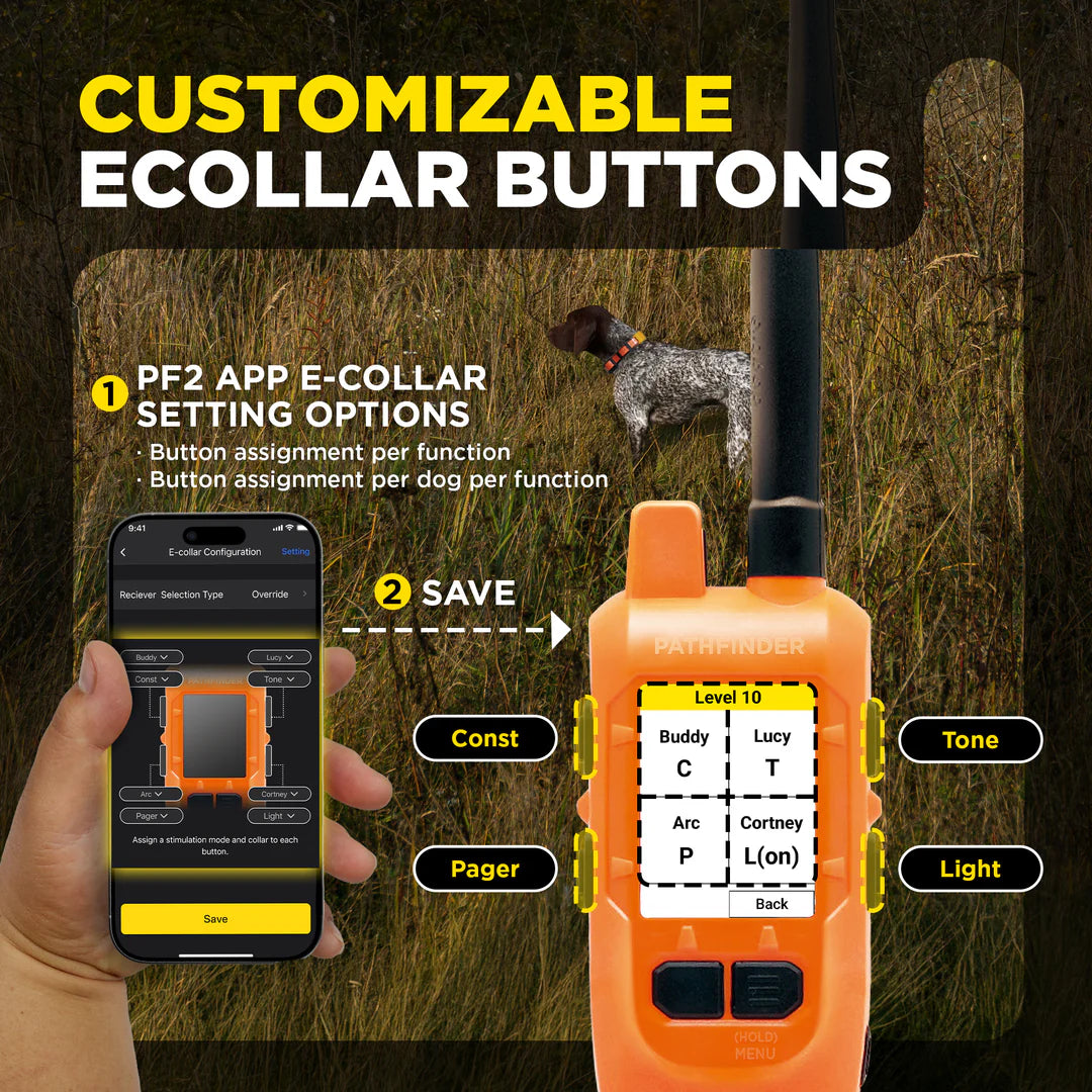 Pathfinder2 Mini Compass