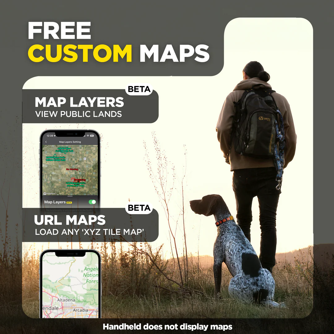 Pathfinder2 Mini Compass