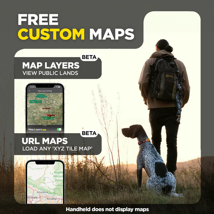 Pathfinder2 Mini Compass