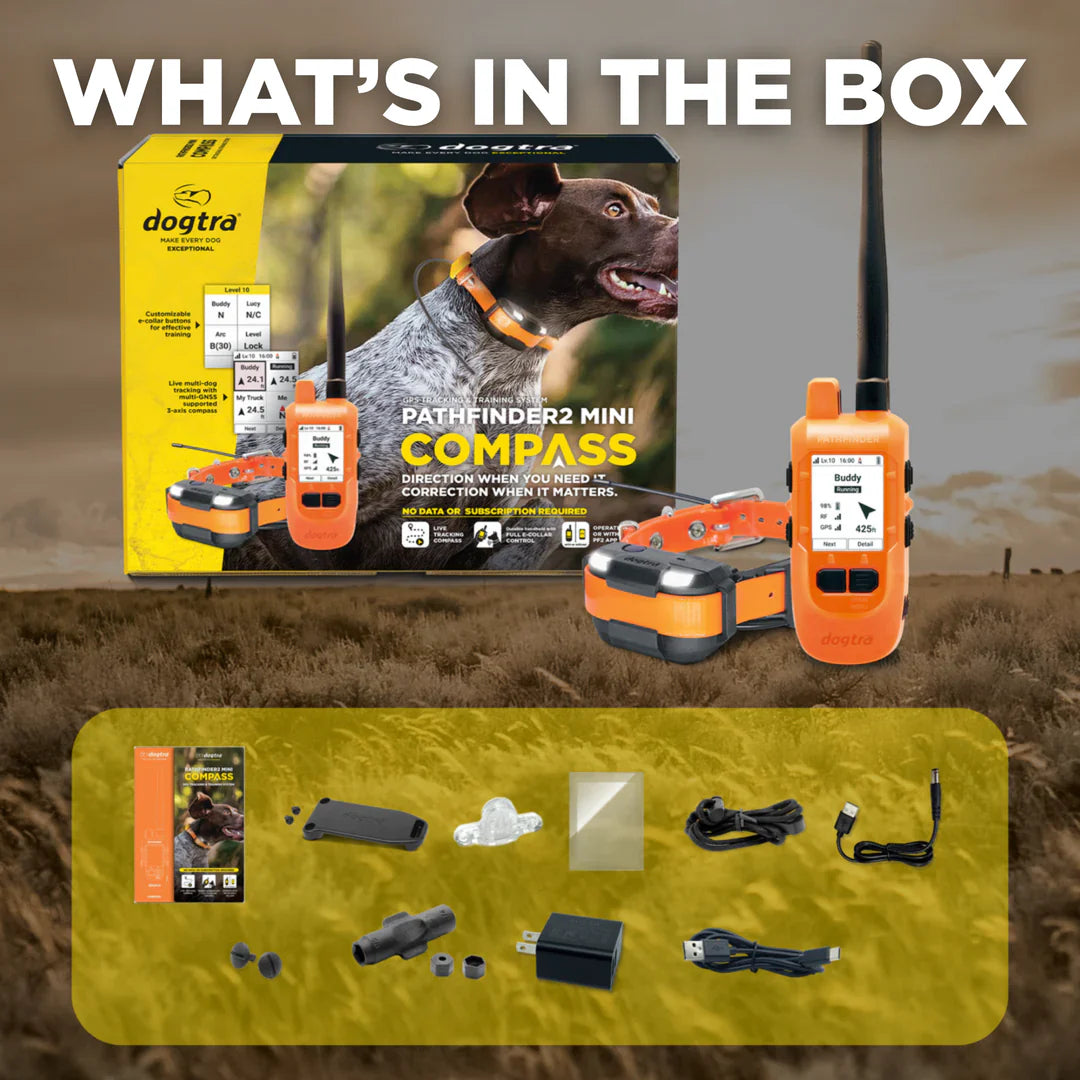 Pathfinder2 Mini Compass